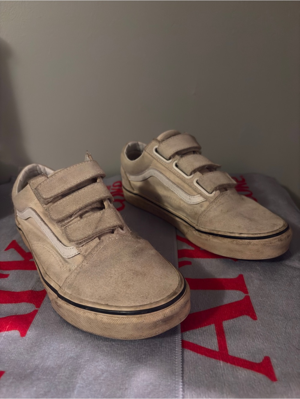 Vans Velcro Skate Shoes